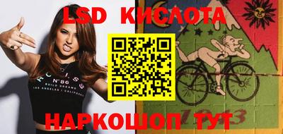 гашик Донецк