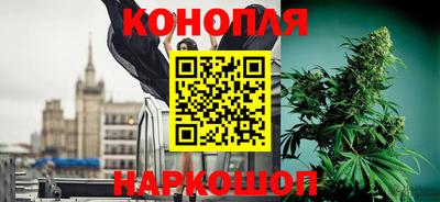 гашик Донецк