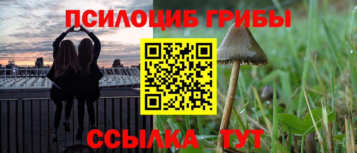 Галлюциногенные грибы MAGIC MUSHROOMS  Галлюциногенные грибы прущие грибы  Вход с VPN  Мирный 
