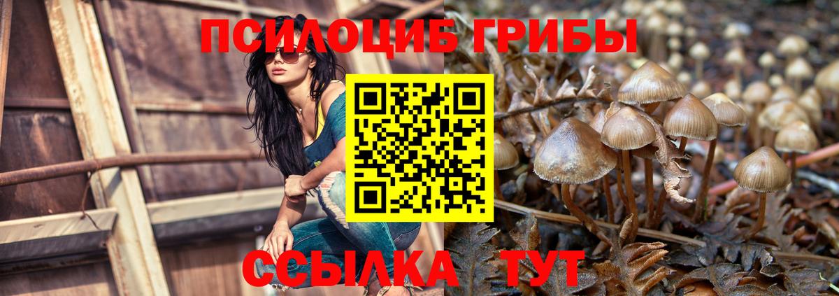 Псилоцибиновые грибы Cubensis Мирный